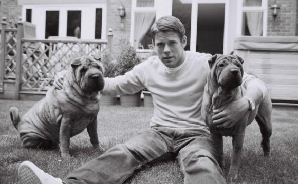 His two shar-pei dogs