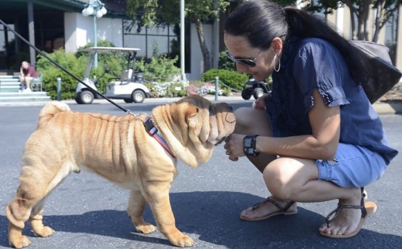 Who s a wrinkly boy?