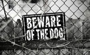 Beware of Dog Sign