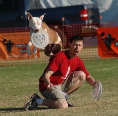 pit-bull-ambassadors