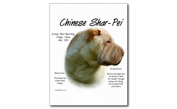 Chinese Shar Pei history