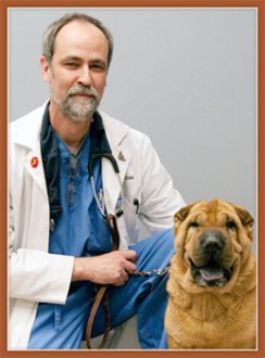 Dr. Jeff Vidt