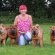 Shar PEI Breeders UK