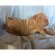 Shar Pei dog breeders