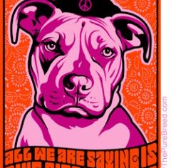 pit_bull_give-pits-a-chance