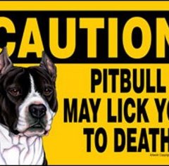 pit-bull-lick-you-to-death