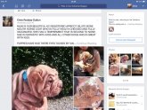 Shar Pei eye tacking cost