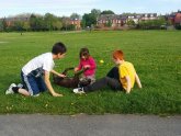 Shar PEI Good with Kids