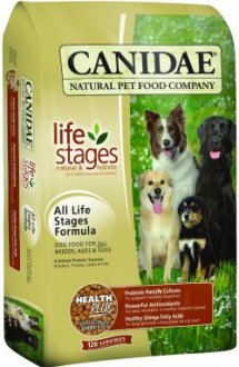 Top 5 Best Dry Dog Food for All Ages