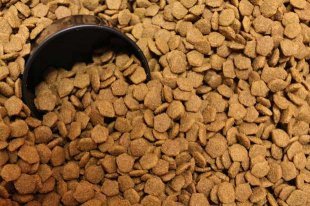 Top 5 Best Dry Dog Food for All Ages