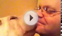 Shar pei gives kisses